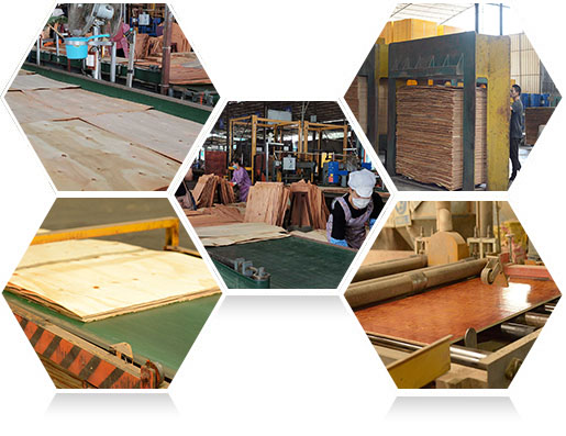 —高效生產(chǎn)，快速交貨